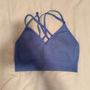 Aerie Blue Ribbed Sports Bra